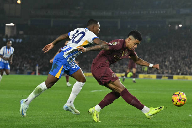 的视野不仅 的视野不仅